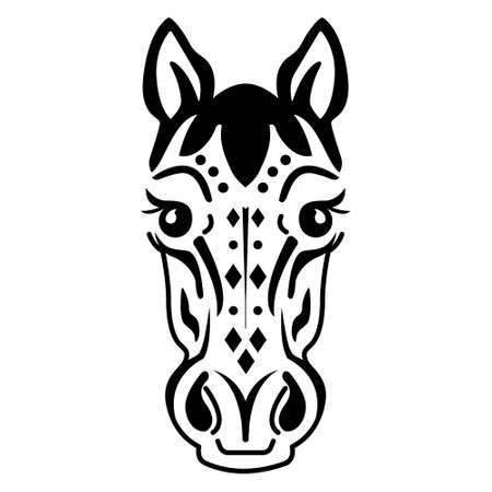Horse face isolated on white background.のイラスト素材
