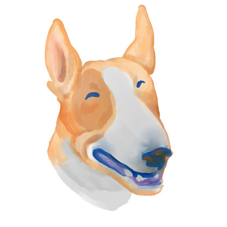 Bull terrier dog head watercolor clipart.の写真素材