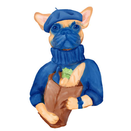 French Bulldog in beret and turtleneck watercolor clipart.の写真素材