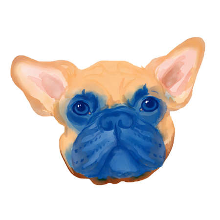 French Bulldog head watercolor clipart.の写真素材