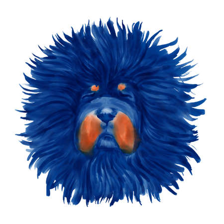Tibetan Mastiff dog head watercolor clipart.の写真素材