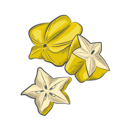 Starfruit isolated on white background.のイラスト素材