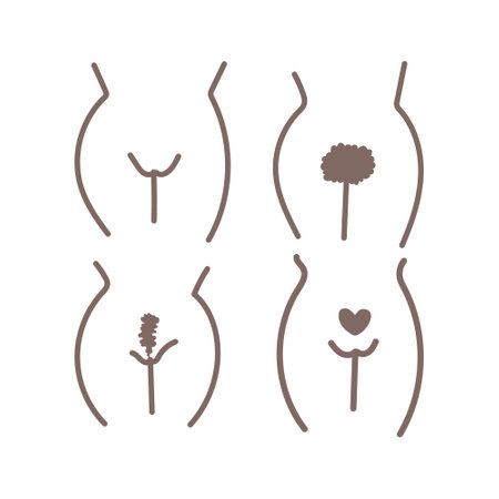 Woman intimate haircut vector set.のイラスト素材