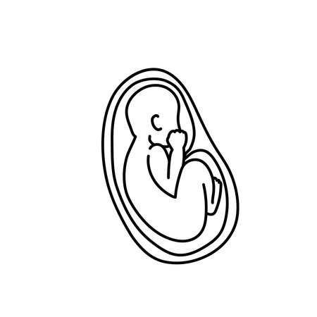Baby fetus in a womb line art vector.のイラスト素材