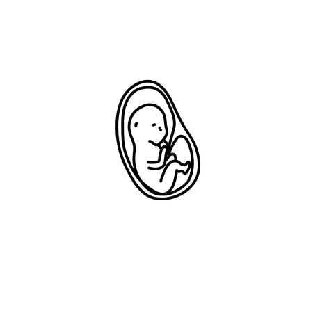 Baby fetus in a womb line art vector.のイラスト素材