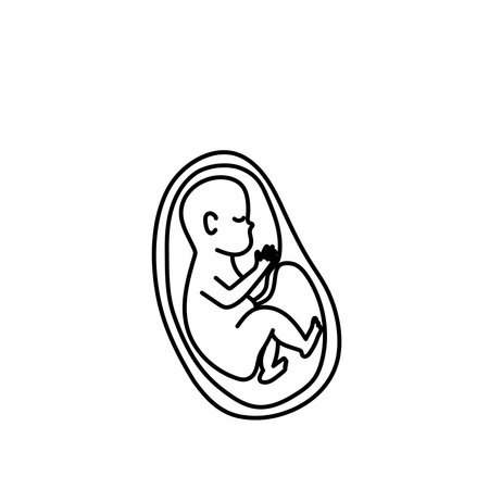 Baby fetus in a womb line art vector.のイラスト素材