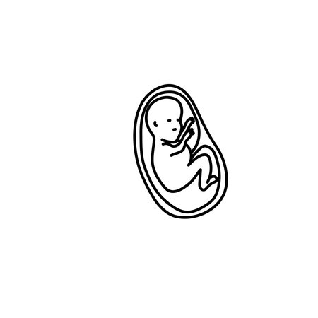 Baby fetus in a womb line art vector.のイラスト素材
