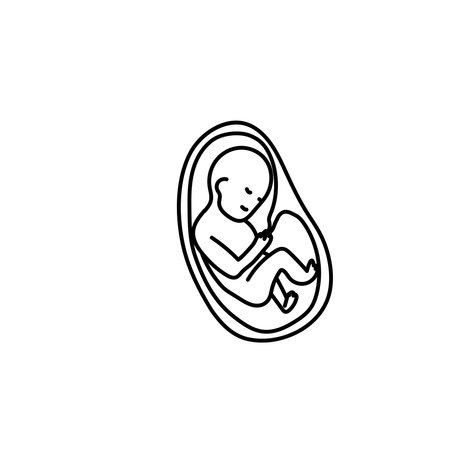 Baby fetus in a womb line art vector.のイラスト素材