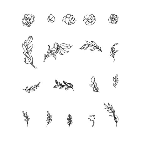 Outline flower and leaves vector set isolated on white background.のイラスト素材