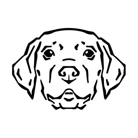 Cute labrador dog vector line illustration.のイラスト素材