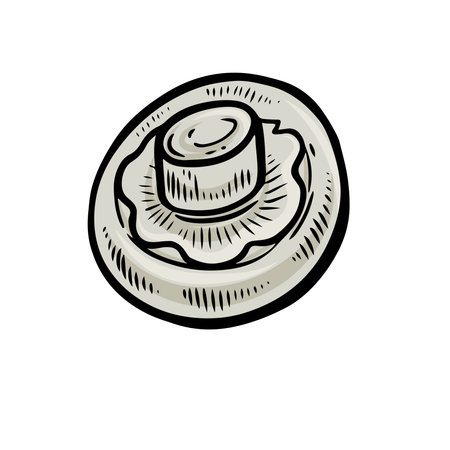 Champignon mushroom vector hand drawn illustration.のイラスト素材