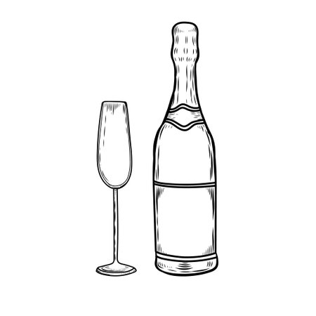 Sparkled wine glass and bottle line drawing illustration.のイラスト素材