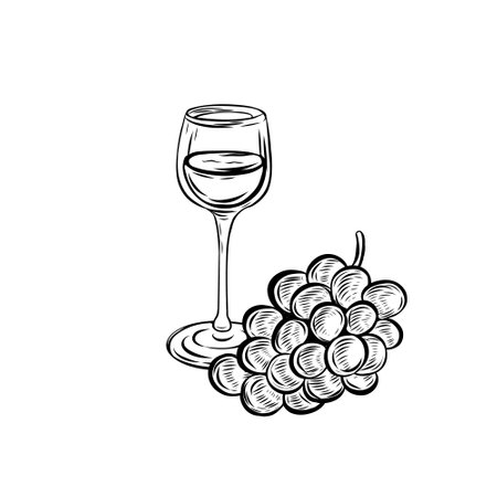 Wine glass and grape line drawing isolated on white background.のイラスト素材