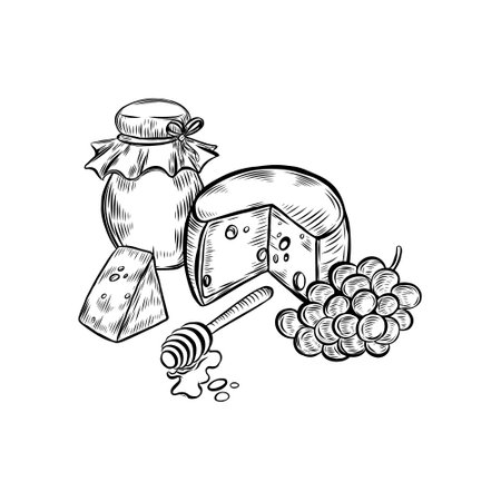 Cheese head, honey jar and grapes vector line drawing.のイラスト素材