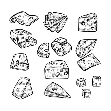 Cheese kinds vector isolated on white background.のイラスト素材