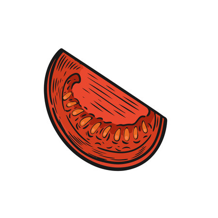 Red tomato slice line drawing.のイラスト素材