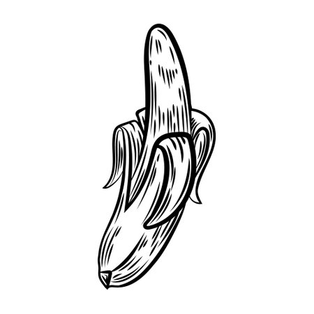 Banana with peeled skin hand drawn vector illustration.のイラスト素材