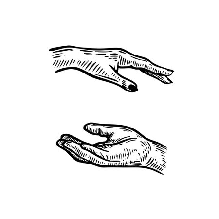 Vintage Sketch of Hands Reaching Out for Connection Vector Illustration.のイラスト素材