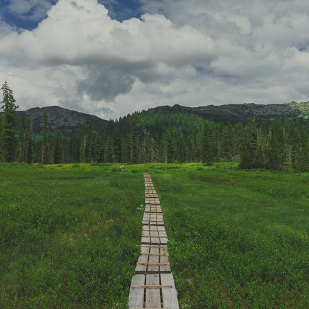 mountains covered with thick forest on the background of the sky with cloudsの写真素材