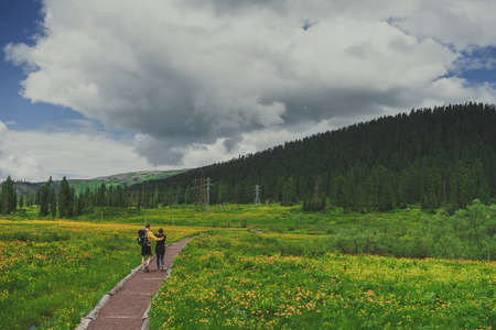travelers going along the path towards the mountains wooded