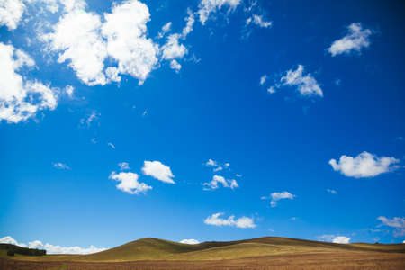 steppe hills in the middle of the summer against blue sky and white clouds