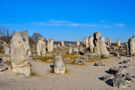 Pobiti Kamani, The Stone Forest Natural Reserve, formed from Corals under the old Thetis Sea, in...