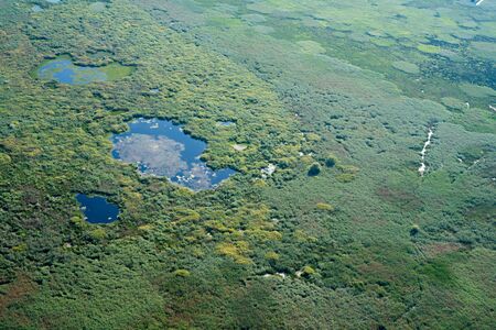 Aerial View over Danube Delta Marshland, Water, Reed, Vegetationの写真素材