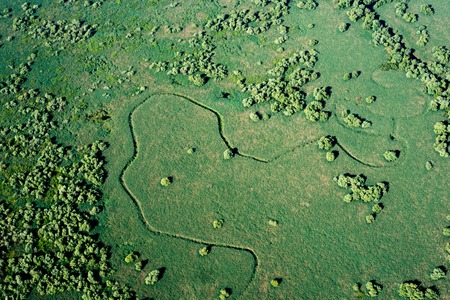 Aerial View over Danube Delta Marshland, Water, Reed, Vegetationの写真素材