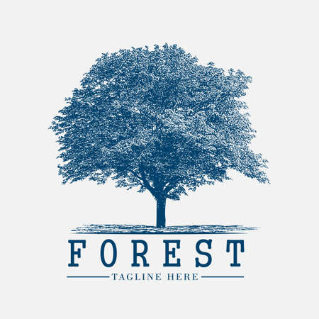 forest tree vintage logo vector, sign, nature, symbol, label, graphic, emblem, retro, design, silhouette, badge, element, outdoor, illustration, adventure, wood, travel, set, stamp, expeditionのイラスト素材