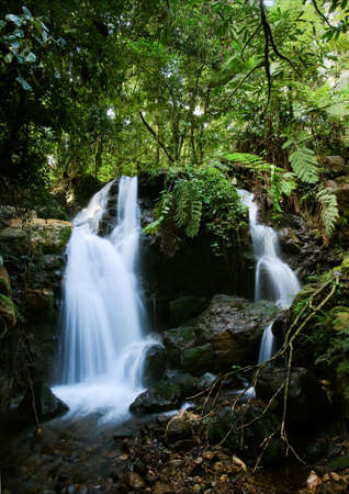 Wateralls of  Bwindi forest. In dark green wood Bwindi the mountain small river flows, by falls...