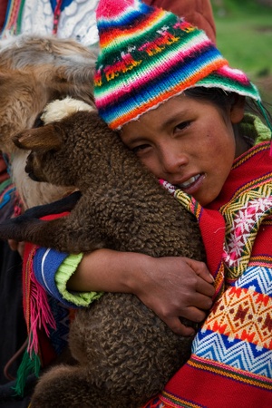 PERU SOUTH AMERICA 2008 JANUARY 2 : The Peruvian girl strong embraces a lamb of the Lama. Village in the Andes. On January 2nd 2008.のeditorial素材