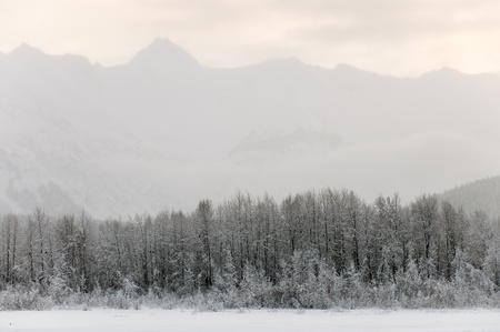 Mountains in snow on a sunset. Alaska.の写真素材