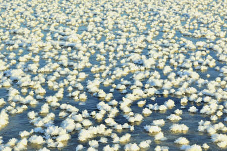 Closeup of ice crystals on the ice surface.