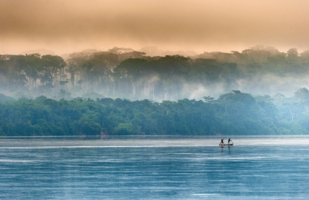 Sangha River. Morning fog on the African river Sangha. Congo.