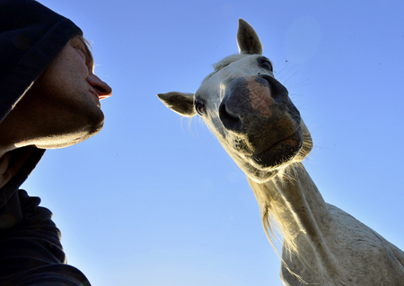 Sellfie with a horse. The White Camargue horse. France.の写真素材