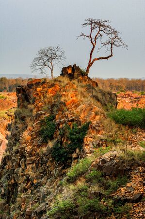 Against the gray sky.Brightly red trees under beams of the sitting down sun are lit up. National...