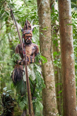NEW GUINEA, INDONESIA - 2 FEBRUARY: The warrior of a Papuan tribe of Yafi in traditional clothes, ornaments and coloring. Aims for shoots an archer. New Guinea Island, Indonesia. February 2, 2009.のeditorial素材