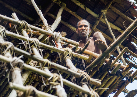 WILD JUNGLE, IRIAN JAYA, NEW GUINEA, INDONESIA - JUNE 10, 2016: Papuan Korowai man tribe in the house on a tree.  Tribe of Korowai (Kombai, Kolufo). June 09, 2016, New Guineaのeditorial素材