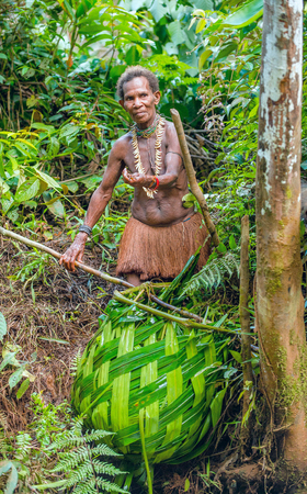 WILD JUNGLE, IRIAN JAYA, NEW GUINEA, INDONESIA - JUNE 09, 2016: Fishing  Papuan women of the Korovai tribe in traditionally made baskets - traps. New Guinea Island, Indonesia. June 09, 2016のeditorial素材