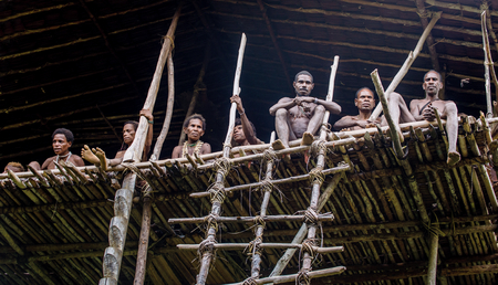 WILD JUNGLE, IRIAN JAYA, NEW GUINEA, INDONESIA - MAY 16, 2016: Group people of Papuan Korowai tribe in the Traditional Korowai house perched in a tree. New Guinea Rainforest. May 16, 2016のeditorial素材