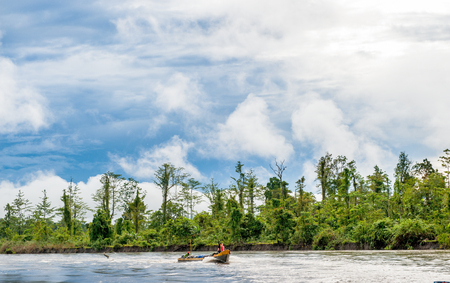 Wooden canoes floated down the river in the wild jungles of New Guinea. Indonesia Asmat, Irian Jaya province, Indonesiaのeditorial素材