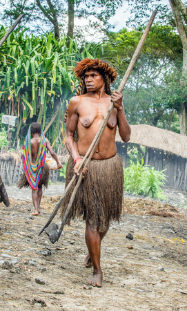 BALIEM VALLEY, WEST PAPUA, INDONESIA, JUNE 4, 2016: Dugum Dani tribe people in Pig Festival. Woman with wooden clip for hot stones. New Guinea Island , Iran Jaya, Indonesia on June 4, 2016のeditorial素材