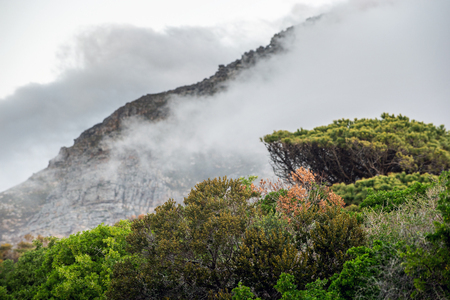 View of foggy mountains. Cape of Good Hope. South Africa.の写真素材