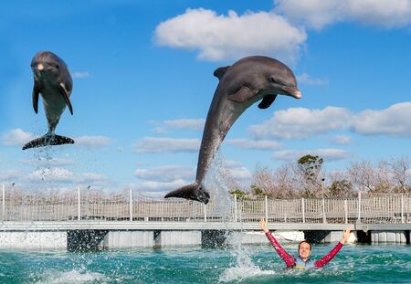Jumping dolphins. Woman  swimming with dolphins in blue water.の写真素材