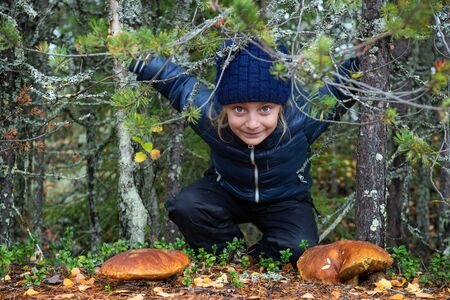 Cute little girl picking mushrooms in autumn forest, kids outdoor activitiesの写真素材