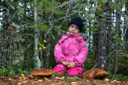 Cute little girl picking mushrooms in autumn forest, kids outdoor activitiesの写真素材