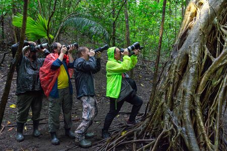 Tangkoko, North Sulawesi, Indonesia- Jan 15, 2019: Group of photographers-tourists take pictures Tarsiers in Tangkoko National Park North Sulawesi Indonesiaのeditorial素材