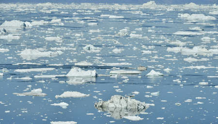 Icebergs in Disko Bay Greenland
