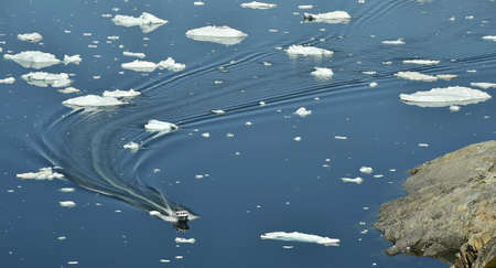 Speedboat and Icebergs in Disko Bay Greenlandの写真素材
