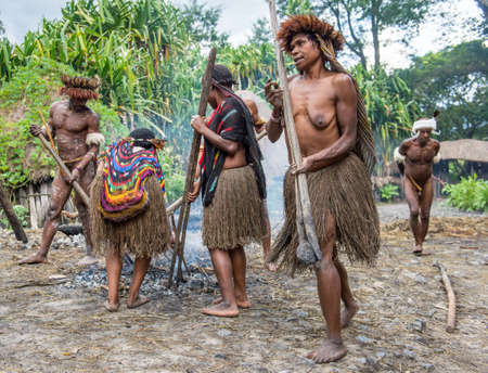 BALIEM VALLEY, WEST PAPUA, INDONESIA, MAY 14, 2016: Dugum Dani tribe people are cooking pig in a hole in ground with hot stones. Traditional dani village. New Guinea, Indonesia on May 14, 2016のeditorial素材